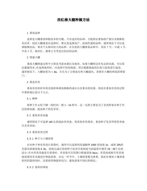 西红柿大棚种植方法