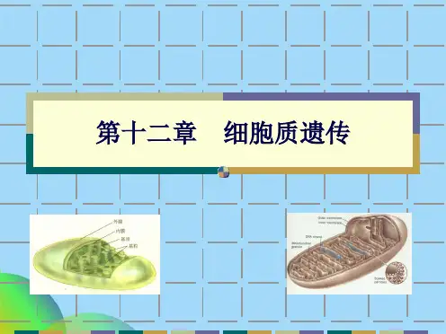 细胞质遗传(共89张PPT)