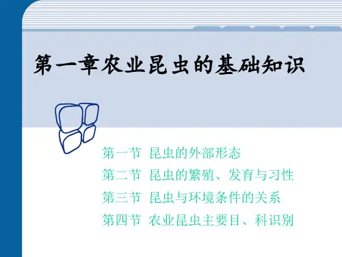 (植物保护课件)第一章_昆虫的外部形态(第一次课)