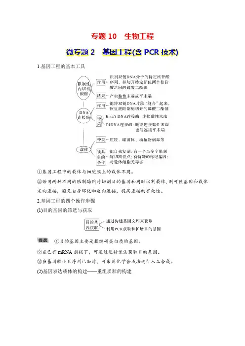 专题10 生物工程 微专题2 基因工程
