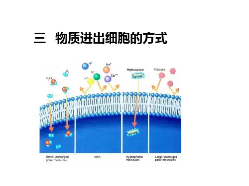三物质进出细胞的方式