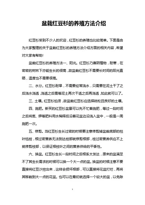 盆栽红豆杉的养殖方法介绍