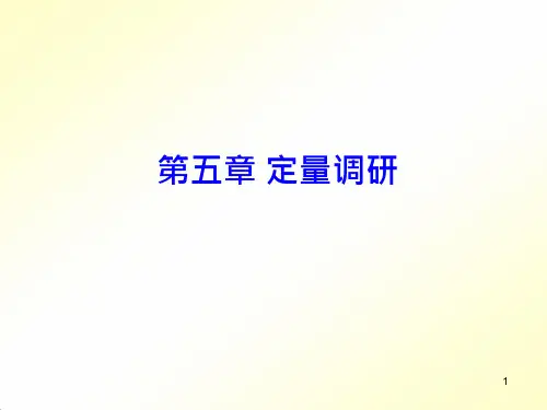 第五章定量调研ppt课件