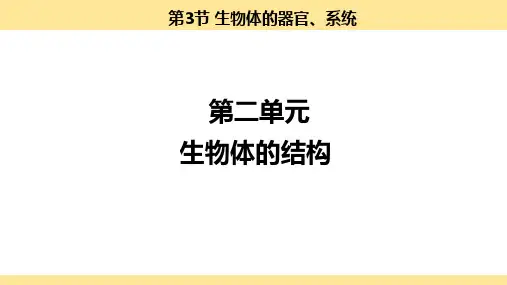 〖生物〗生物体的器官、系统课件-2024-2025学年北师大版生物七年级上册