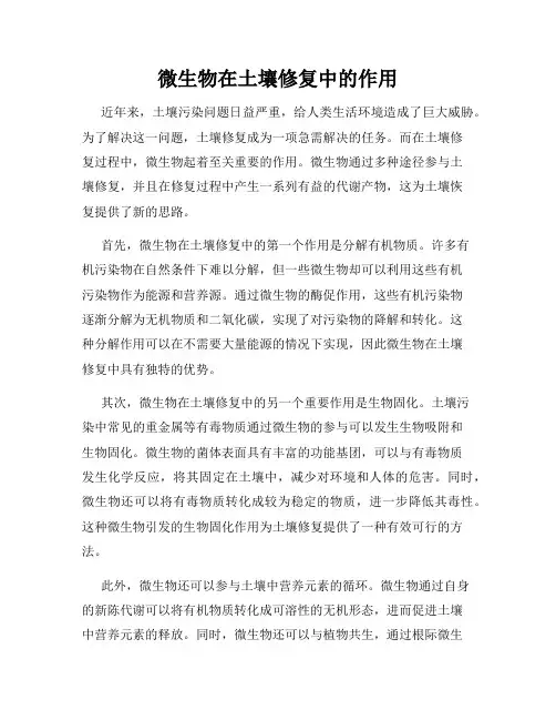 微生物在土壤修复中的作用