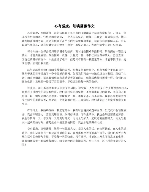 心有猛虎,细嗅蔷薇作文