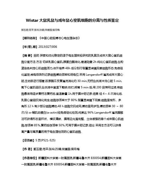 Wistar大鼠乳鼠与成年鼠心室肌细胞的分离与性质鉴定