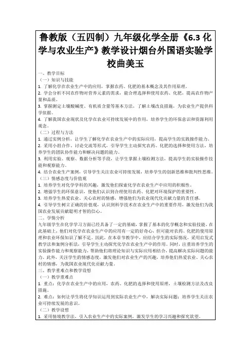 鲁教版(五四制)九年级化学全册《6