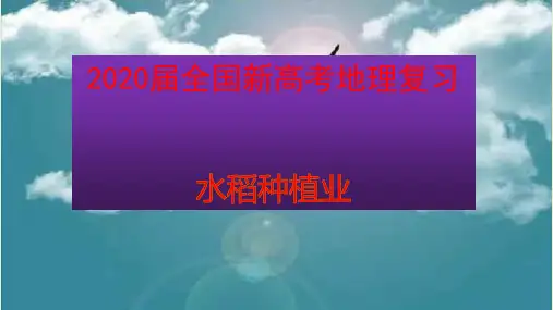 2020届全国新高考地理复习  水稻种植业