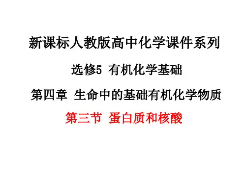 第三节 蛋白质和核酸 (1)