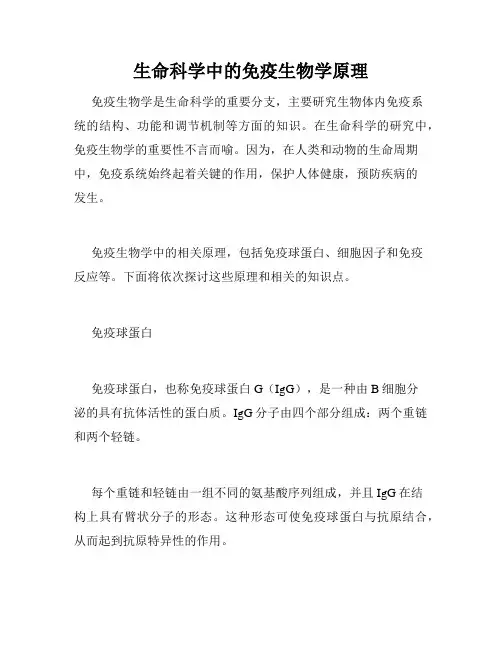 生命科学中的免疫生物学原理