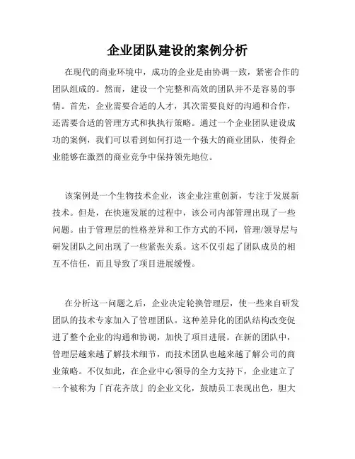 企业团队建设的案例分析