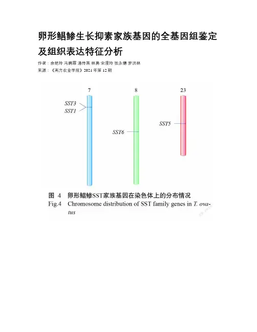 卵形鲳鲹生长抑素家族基因的全基因组鉴定及组织表达特征分析