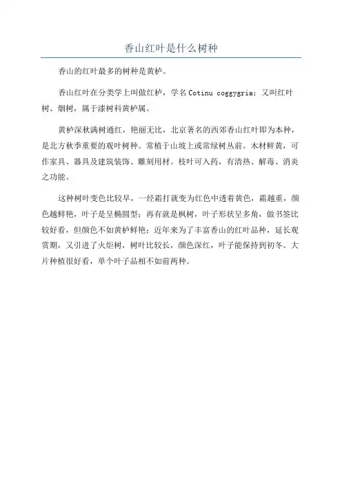 香山红叶是什么树种