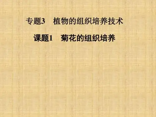 【金版学案】高中生物 专题三 课题1 菊花的组织培养名师优质课件 新人教版选修1