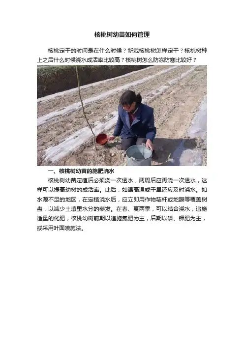 核桃树幼苗如何管理