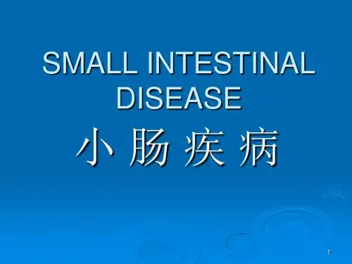小肠疾病ppt课件