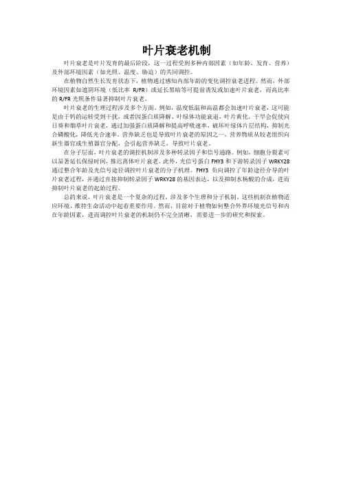 叶片衰老机制