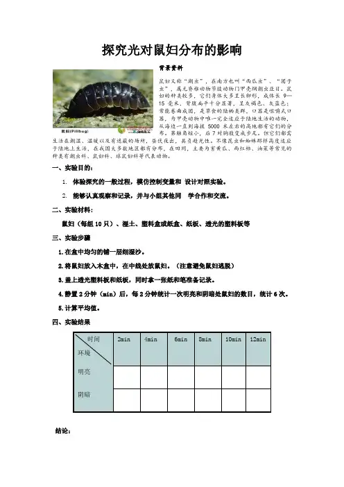 探究光对鼠妇的分布的影响实验