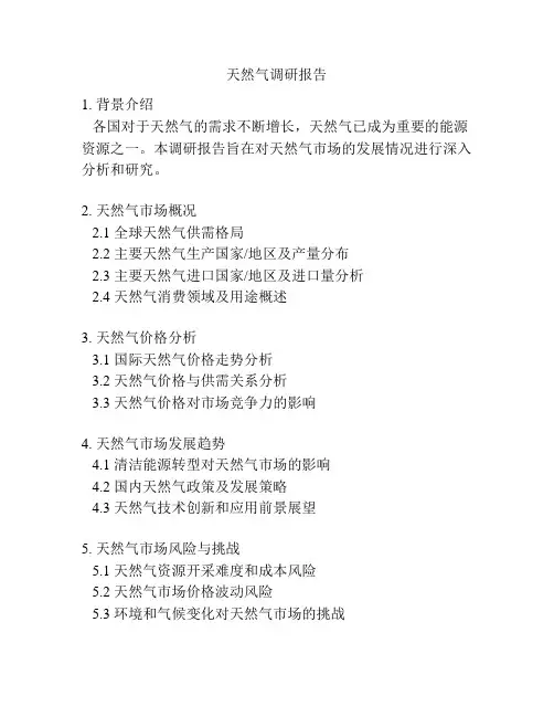 天然气调研报告