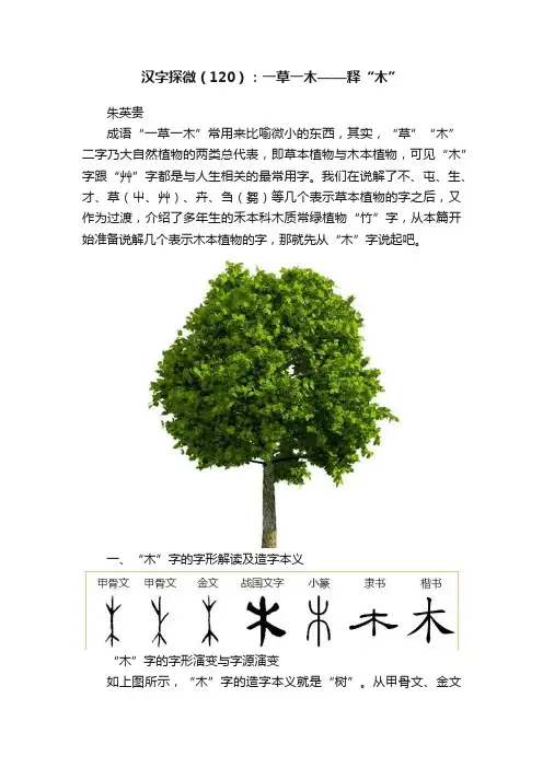 汉字探微（120）：一草一木——释“木”