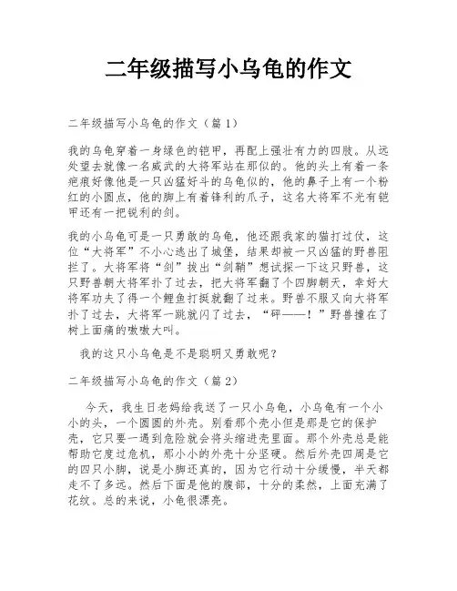 二年级描写小乌龟的作文