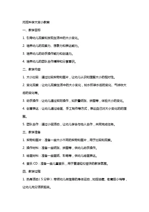 托班科学大变小教案