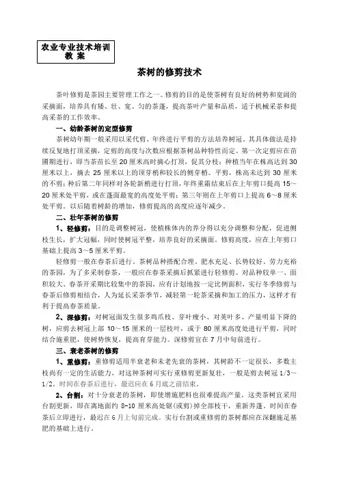 茶树的修剪技术