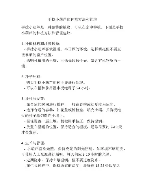 手捻小葫芦的种植方法和管理