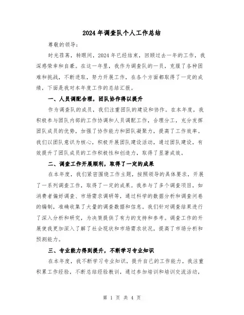 2024年调查队个人工作总结(二篇)