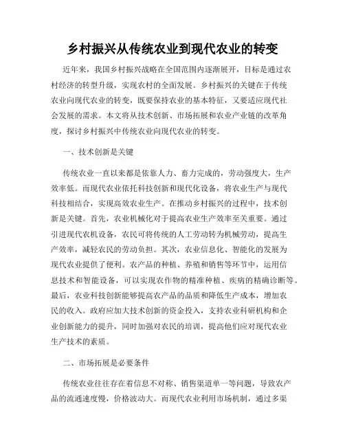 乡村振兴从传统农业到现代农业的转变