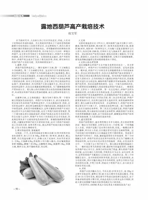 露地西葫芦高产栽培技术