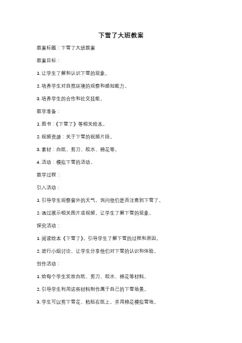下雪了大班教案