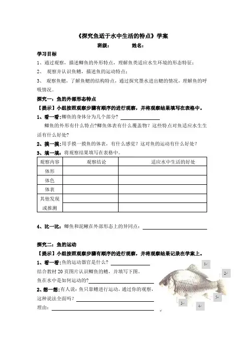 生物人教版八年级上册探究鱼适于水中生活的特点学案