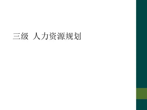 三级  人力资源规划