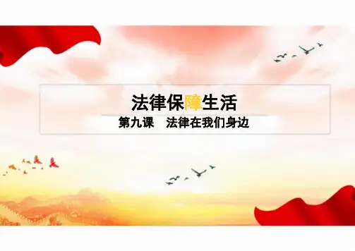 9.2 法律保障生活 课件(25张PPT)-2023-2024学年统编版道德与法治七年级下册 (1)