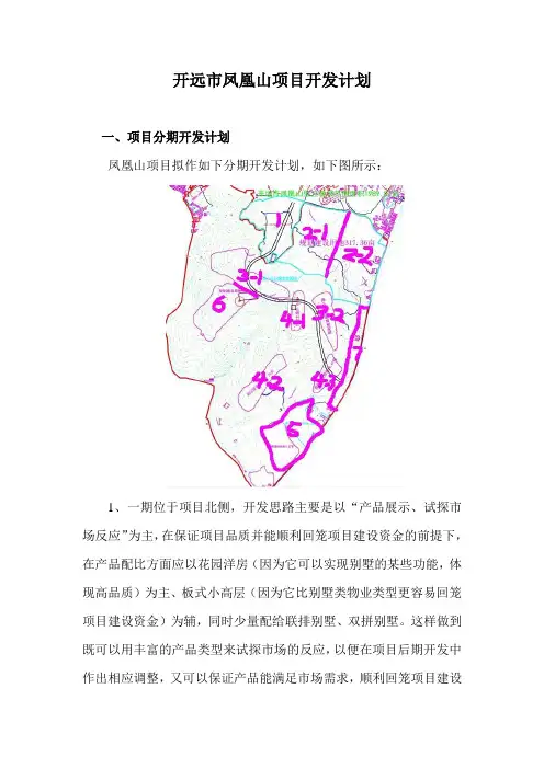 凤凰山项目开发计划