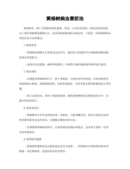 黄杨树病虫害防治