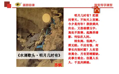 初一下第12.13课教材整合课