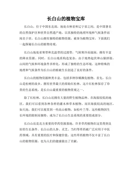 长白山的植物宝库