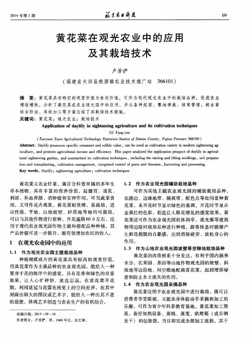 黄花菜在观光农业中的应用及其栽培技术