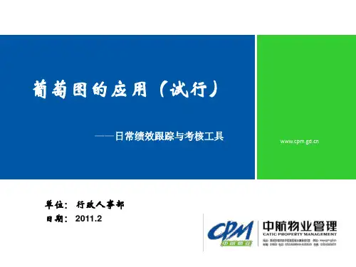 员工绩效管理—葡萄图的应用