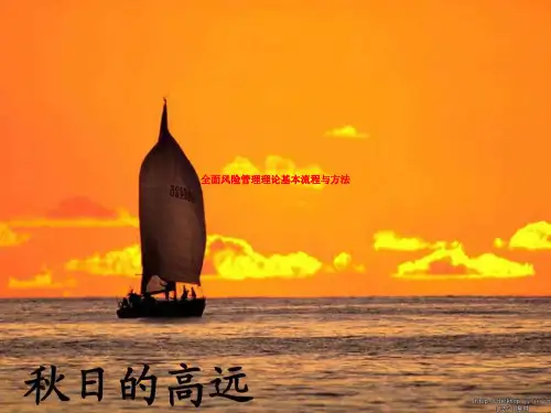 全面风险管理理论基本流程与方法