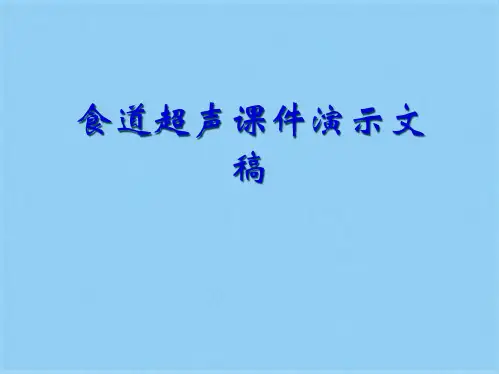 食道超声课件演示文稿(共27张PPT)