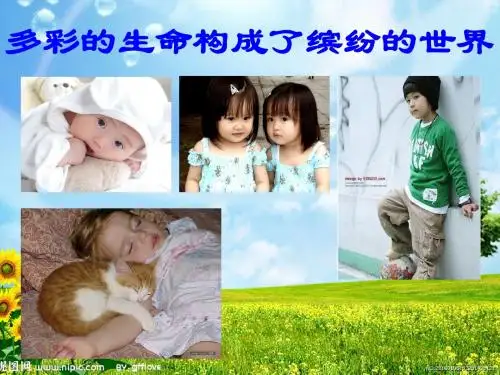 班主任主题班会课件：珍惜生命 健康成长主题班会课件(共46张PPT)班队会