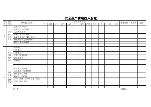 安全生产费用投入台账(模版)