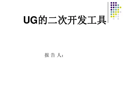 2019-UG的二次开发工具-文档资料