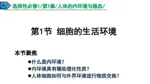 生物人教版(2019)选择性必修1 1.1细胞生活的环境(共34张ppt)