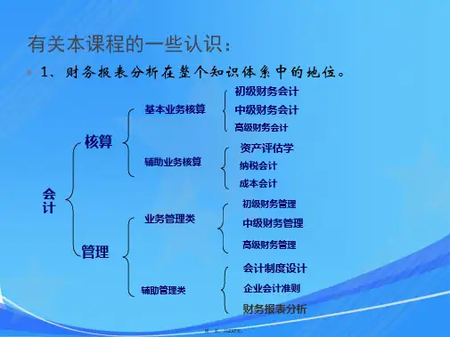 张新民-财务报表分析-二版-课件 -