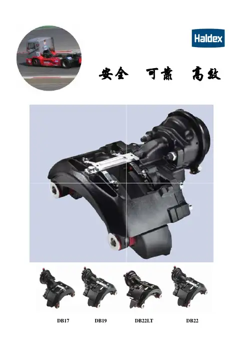 Haldex 盘式制动器说明